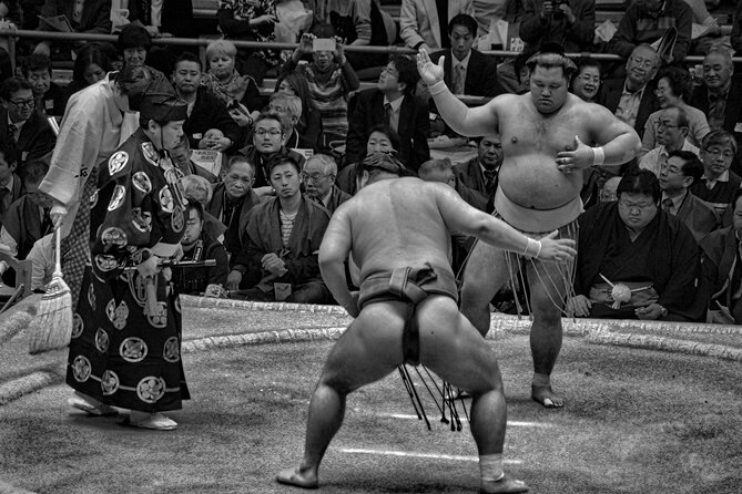 Official Sumo Tournament Ticket with Guided Experience - Reserved B or C Class Seats: What You Can Expect