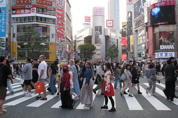 Official Tokyo Shibuya : KIMONO Dressed EV-Go Kart Activity Tour - Who this tour suits best