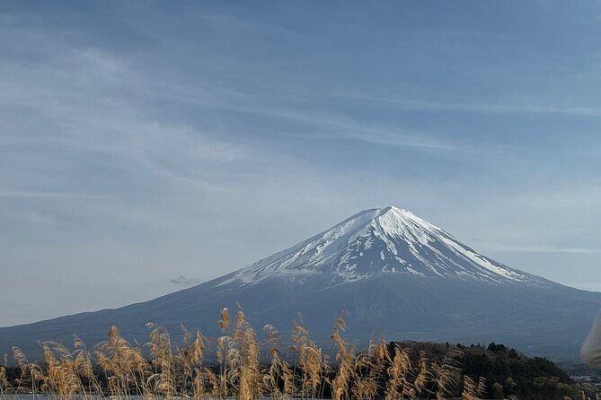 One day mountain Fuji & Hakone tour with English hindi bilingual - Arakurayama Sengen Park and the 398-step reward
