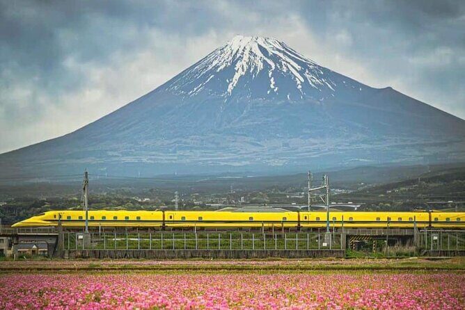 One day mountain Fuji & Hakone tour with English hindi bilingual - Kitaguchi Hongu Fuji Sengen Jinja: cedar-and-pine atmosphere
