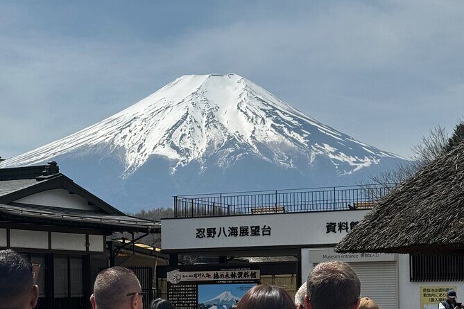 One day mountain Fuji & Hakone tour with English hindi bilingual - Mt. Fuji 5th Station at 2,300 meters: the altitude reality check