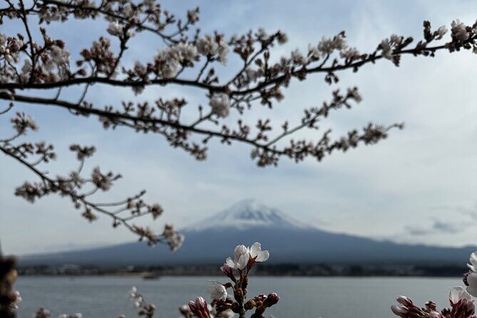 One day mountain Fuji & Hakone tour with English hindi bilingual - Lake Ashi and the floating torii vibe in Hakone