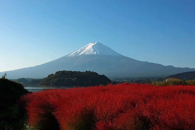 One Day Tour to Oishi Park and Fruit Picking in Mt. Fuji Tokyo - Fruit Picking + Mt. Fuji: A day trip with two different kinds of magic