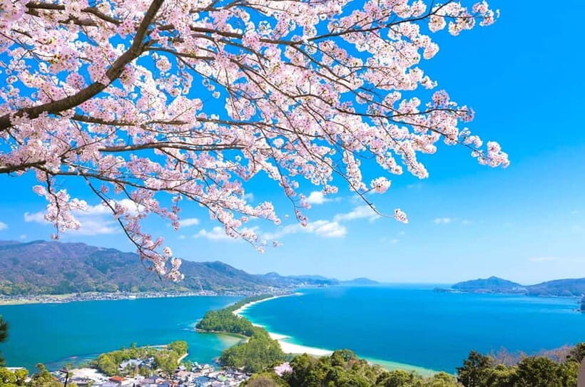 Osaka: Kyoto By The Sea with Amanohashidate & Ine no Funaya - Optional Boat Ride in Ine: Getting Closer to the Funaya
