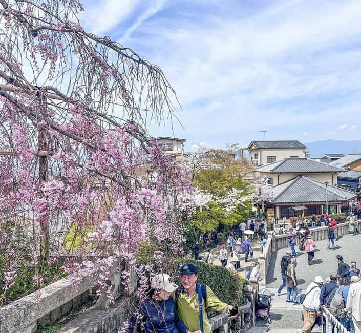 Osaka/Kyoto/Nara: Private Full-Day Sightseeing Tour - Key things to know before you go