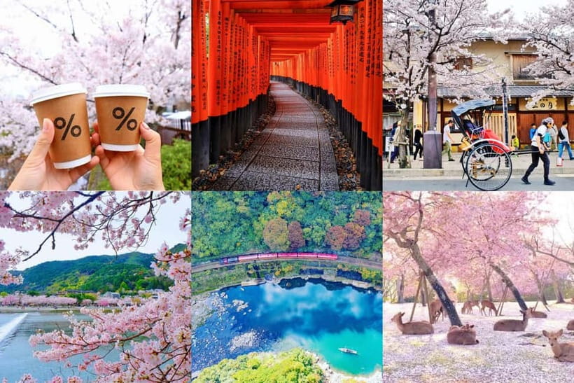 Osaka/Kyoto/Nara: Private Full-Day Sightseeing Tour - How this private Osaka, Kyoto, Nara day actually works