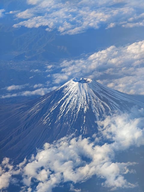 Osaka/Kyoto/Nara: Private Full-Day Sightseeing Tour - Building a Kyoto day around your interests (without getting lost)