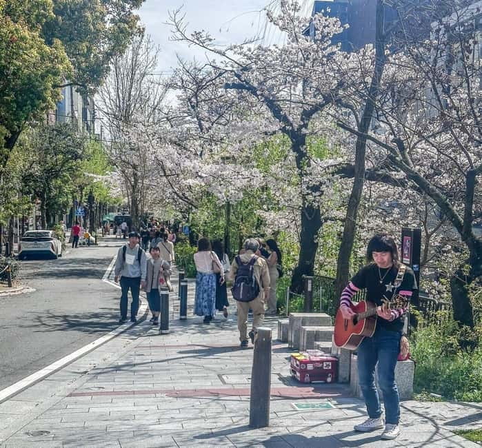 Osaka/Kyoto/Nara: Private Full-Day Sightseeing Tour - Kodaiji Temple and Yasaka Shrine, plus the calm near tradition
