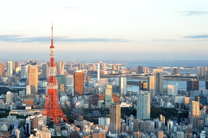 Private Airport transfer Haneda Airport(HND) to Tokyo City - Why This Haneda-to-City Transfer Works for Real Travelers