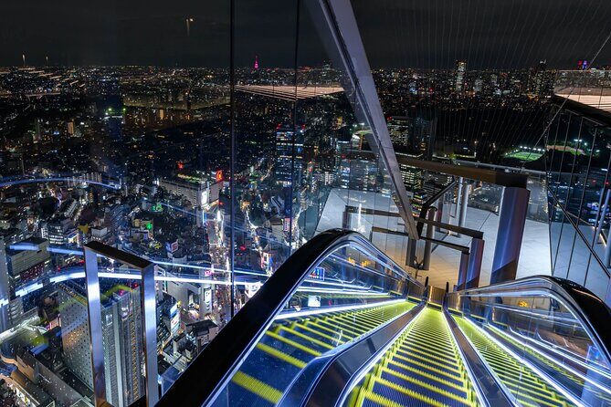 Private Airport transfer Haneda Airport(HND) to Tokyo City - Communication and English: What’s Good, What to Watch