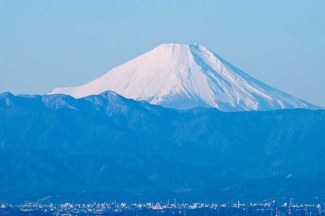 Private Airport transfer Haneda Airport(HND) to Tokyo City - Who This Transfer Best Suits