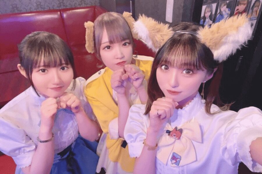 Private Akihabara Anime Game Maid Cafe Tour w/ free pickup - Key things that make this tour work