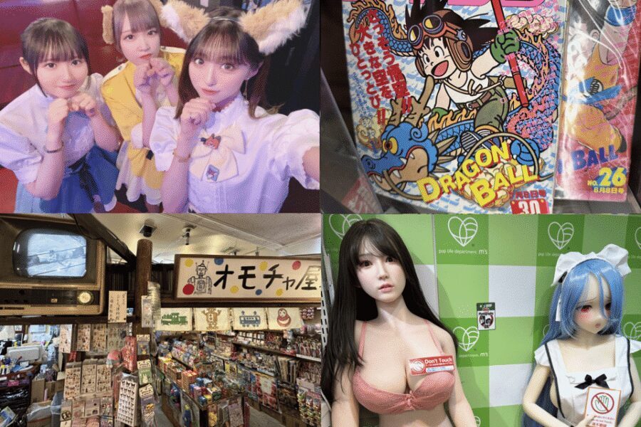 Private Akihabara Anime Game Maid Cafe Tour w/ free pickup - How the Akihabara-to-maid-cafe combo saves you time