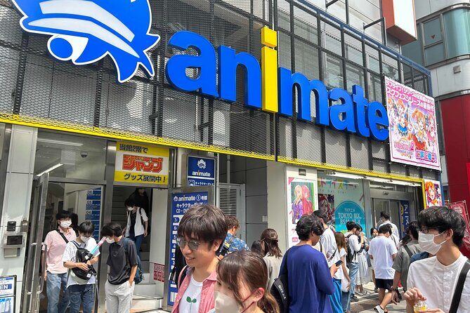 Private Akihabara Anime Guided Walking Tour - Stop 1: Akihabara for cosplay hunting and manga browsing