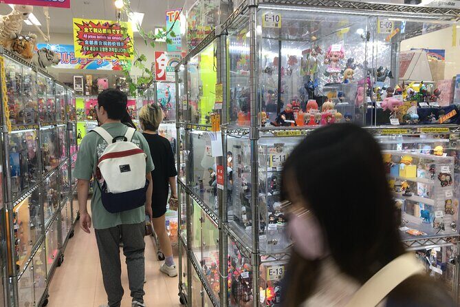 Private Akihabara Anime Guided Walking Tour - Meet the guide: Seiko’s fan knowledge and Sho’s adult-friendly balance