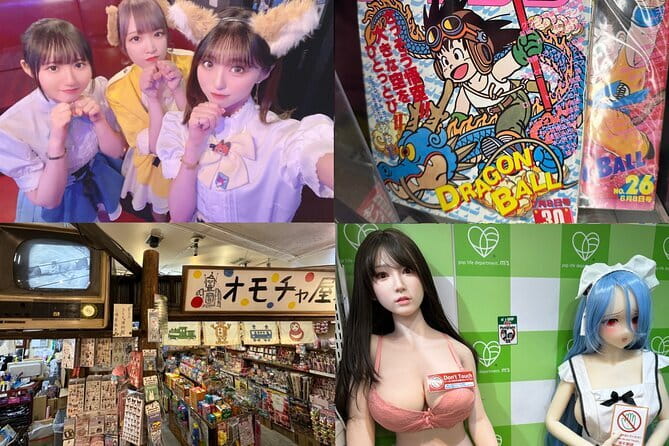 Private Akihabara Retro Tokyo Anime Game Maid Cafe Tour w/ pickup - Key highlights worth planning for
