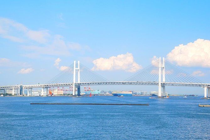 Private Arrival Transfer : Haneda Airport to Yokohama City - Finding your driver fast: sign board meet-ups and real-time flight tracking
