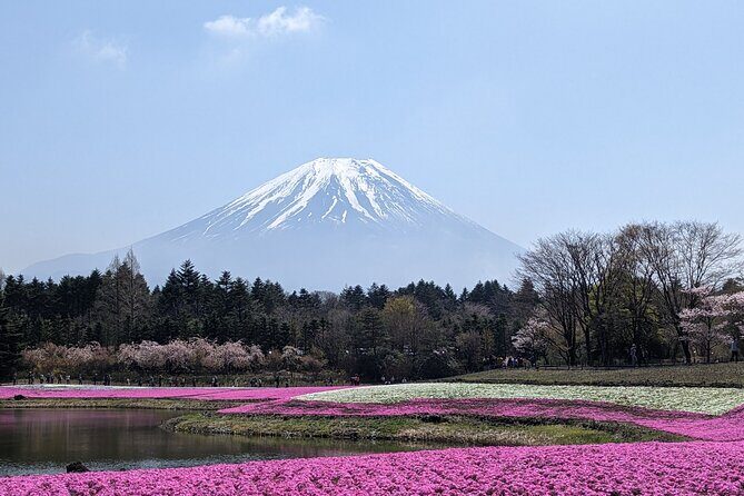 Private Car Mt Fuji and Gotemba Outlet in One Day from Tokyo - Ropeway and Flower Gardens: Where You Trade Waiting for Views