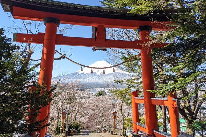 Private Car Mt Fuji and Gotemba Outlet in One Day from Tokyo - Lake Kawaguchiko and a Lakeside Lunch Break