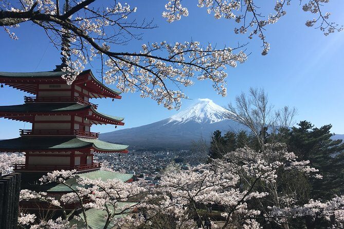 Private Car Mt Fuji and Gotemba Outlet in One Day from Tokyo - Oshino Hakkai and the Pilgrimage Loop: Fuji’s Water Story
