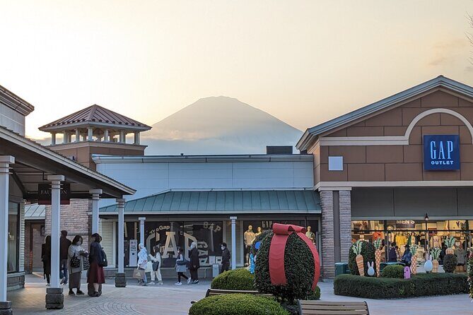 Private Car Mt Fuji and Gotemba Outlet in One Day from Tokyo - Picking Your Day Plan: How Customization Actually Helps