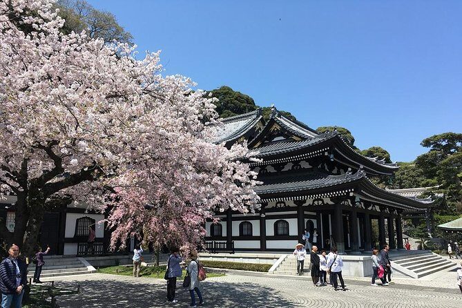 Private Car Tour to see Highlights of Kamakura, Enoshima, Yokohama from Tokyo - Hokoku-ji Bamboo Grove: Matcha With a View