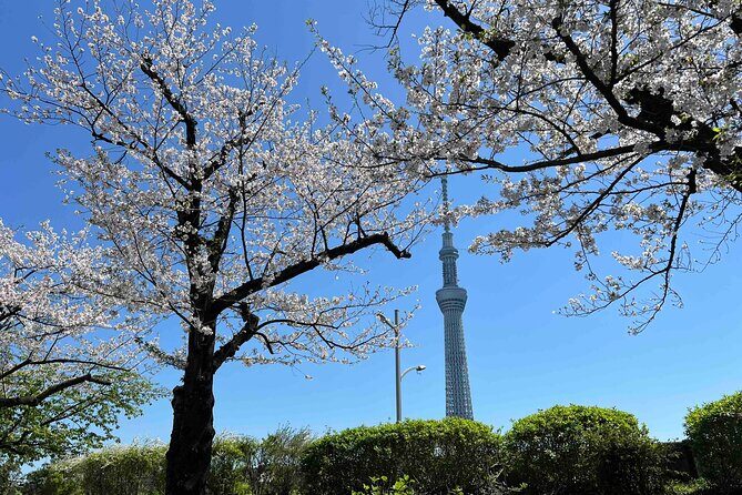 Private Custom Tour in Tokyo with a Bilingual Japanese Guide - Key highlights at a glance