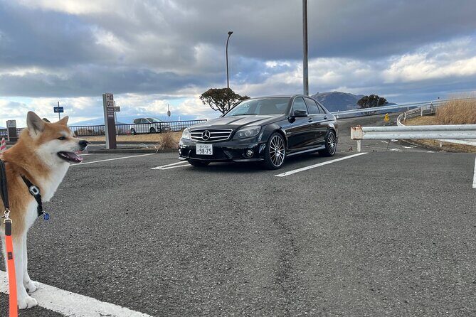 Private Daikoku Parking Area, Hakone turn Pike, Umihotaru Tours - How a Private Up-To-4 Tour Actually Helps You