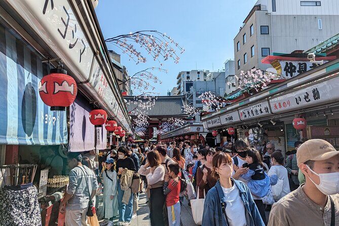 Private Day Tour In Tokyo with a Native English Speaker - Timing, walking, and transit: how to plan your comfort