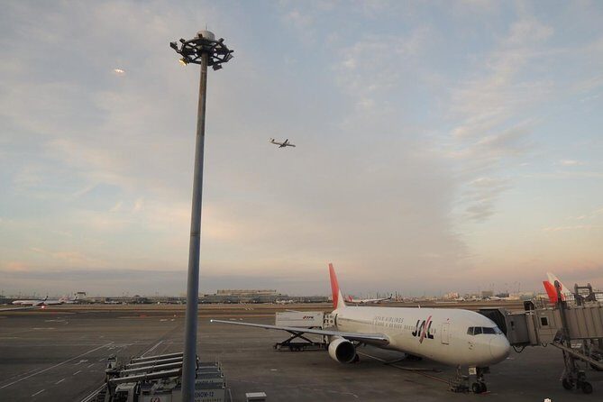 Private Departure Transfer : Tokyo Disney to Haneda International Airport - From Tokyo Disney to Haneda: how this private ride really feels