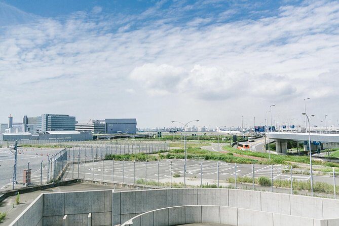 Private Departure Transfer : Tokyo Disney to Haneda International Airport - Driver expectations: clean ride, professional service, and one language caveat
