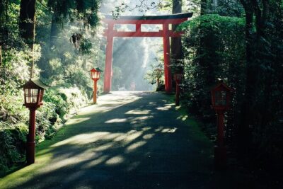 Private Fuji Hakone Tour Charter with English Speaking Driver - Tokyo pickup to Hakone: door-to-door beats station math