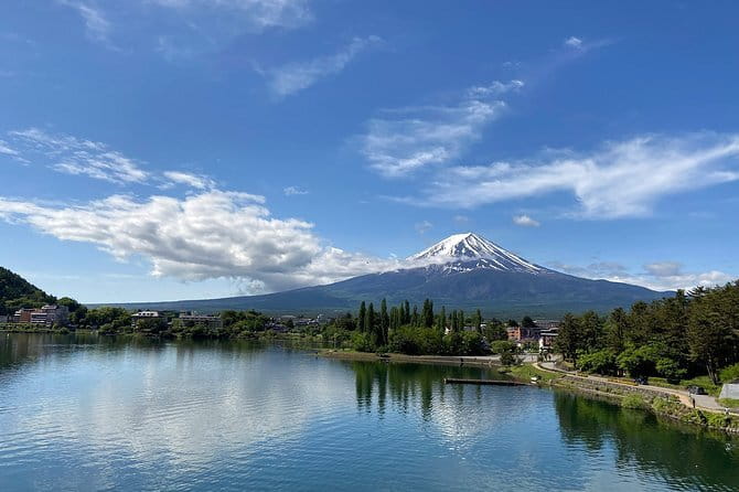 Private Fuji Half-day Car Tour with Hotel Pickup and Local Guide - Ide Sake Brewery: small, traditional, and easy to enjoy