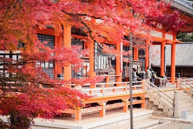 Private Full-Day Kamakura-Enoshima Tour with Bilingual Driver - Kotoku-in Great Buddha: the outdoor bronze moment