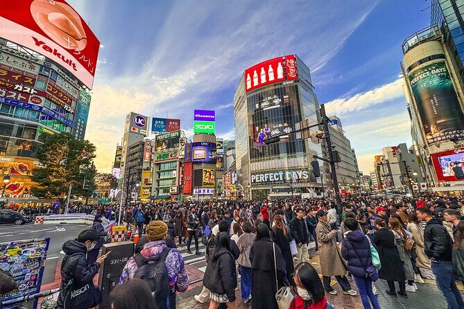 Private Full-day Tokyo Walking Subway Tour by Japan Gray Line - A Private Day That Makes Tokyo’s Subway Feel Simple