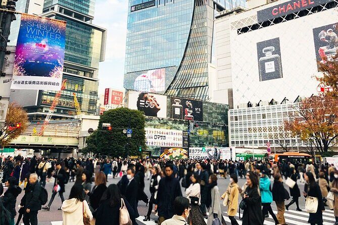 Private Full-day Tokyo Walking Subway Tour by Japan Gray Line - Pacing: How This Tour Stays “One Day” Instead of “One Marathon”