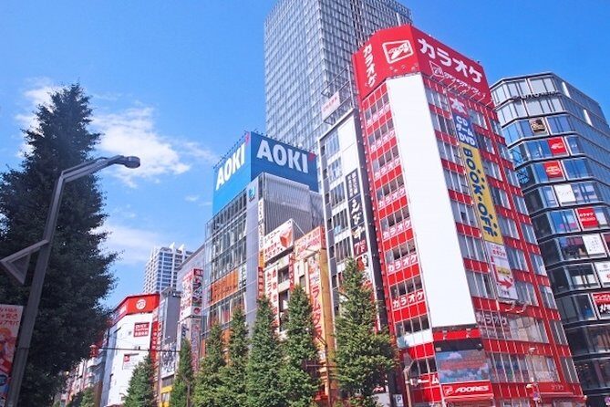 Private Full-Day Tour of Tokyo with Hotel Pickup - Akihabara: anime, electronics, and the offbeat Tokyo you’ll want on camera