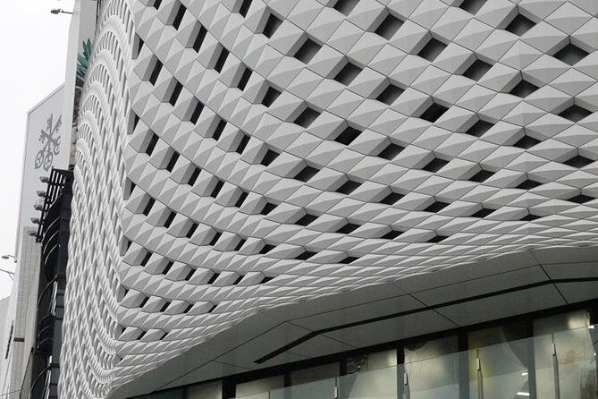 Private Ginza Architecture Walking Tour - Ginza Maison Hermes Le Forum: When Retail Architecture Gets Serious