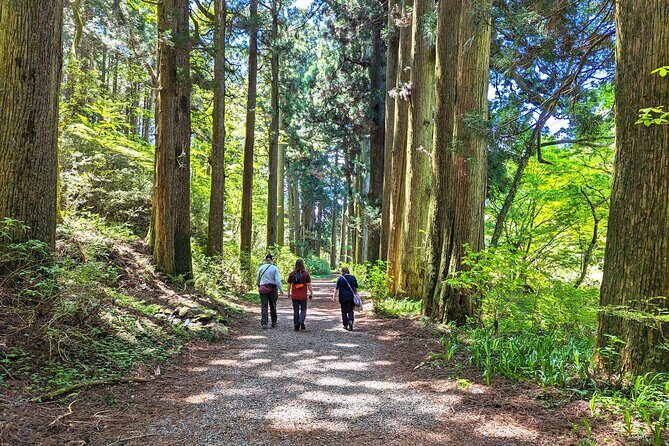 Private Hakone Tour - View of Mt. Fuji, Nature and Culture - Hakone-Yumoto and Hakone Shrine: Shinto roots and photo-worthy torii