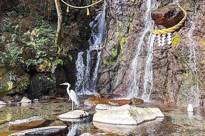 Private Hakone Tour - View of Mt. Fuji, Nature and Culture - Ropeway up Mt. Hakone, then Owakudani for the sulfur air and black eggs