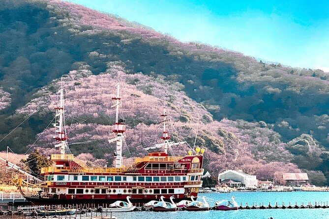 Private Hakone Tour - View of Mt. Fuji, Nature and Culture - From Gora up the mountain: the Hakonetozan cable car and your choice of art or onsen