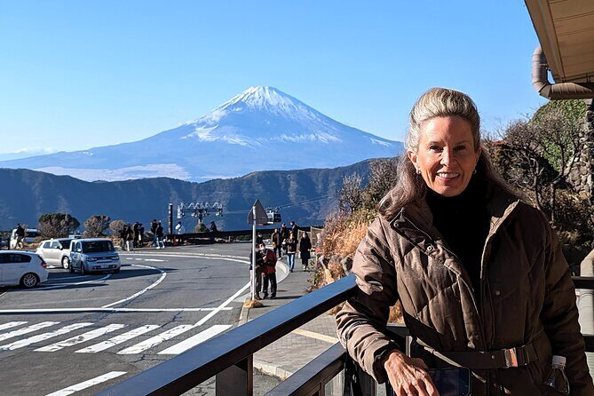 Private Hakone Tour - View of Mt. Fuji, Nature and Culture - From your hotel to Odawara: the smooth start on the Shinkansen