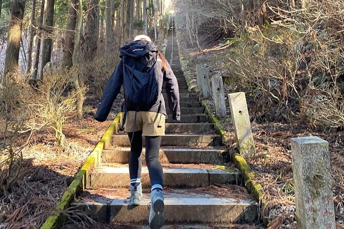 Private Hiking Tour to View Mt. Fuji - The viewpoint stops: when Fuji looks huge