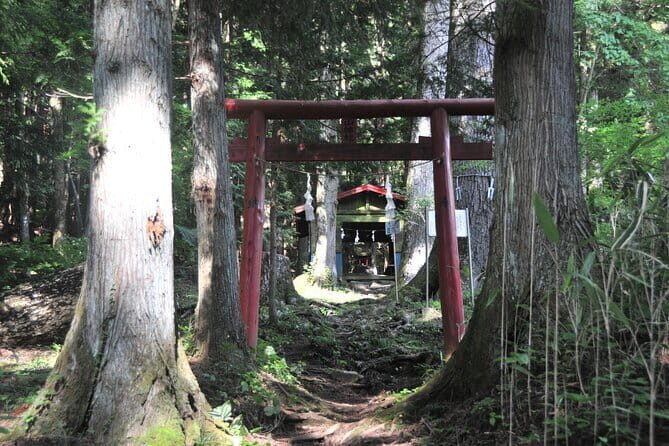 Private Hiking Tour to View Mt. Fuji - Why Yuki’s private guiding makes the day easier