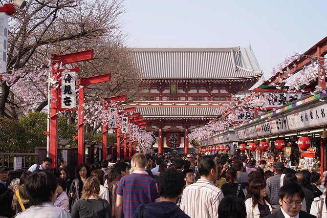 Private Japanese Sample Food Making and Asakusa History Tour - Price and Value: What You’re Actually Paying For