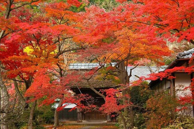 Private Kimono photo shooting tour in ancient city Kamakura - FAQ
