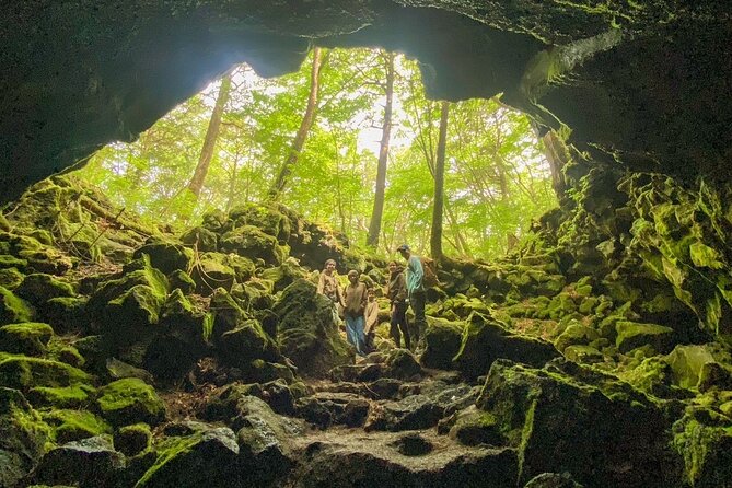 Private Local Hiking to enjoy the nature and culture of Mt.Fuji - Starting with Lake Kawaguchiko: the Mt. Fuji view strategy