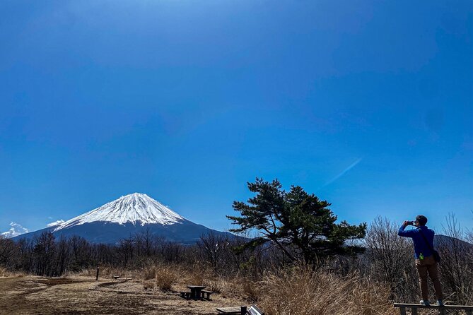 Private Local Hiking to enjoy the nature and culture of Mt.Fuji - Saiko Lake and Aokigahara Jukai: quiet water, then sea of trees