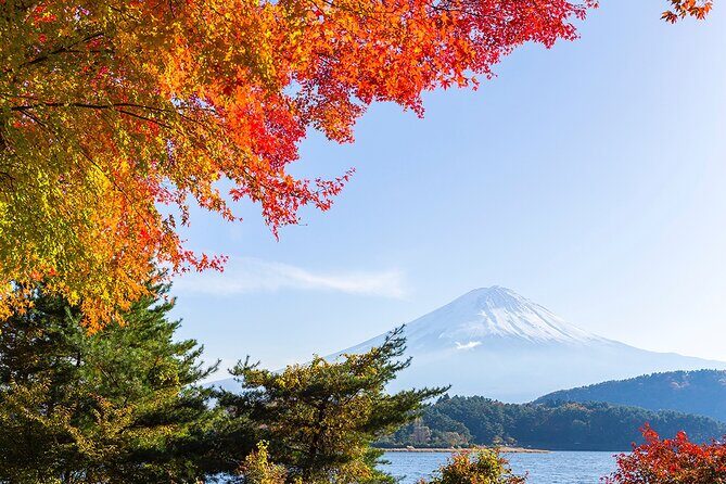Private Mount Fuji and Hakone City Tour In luxury car from Tokyo - A private luxury car out of Tokyo: less stress, more views