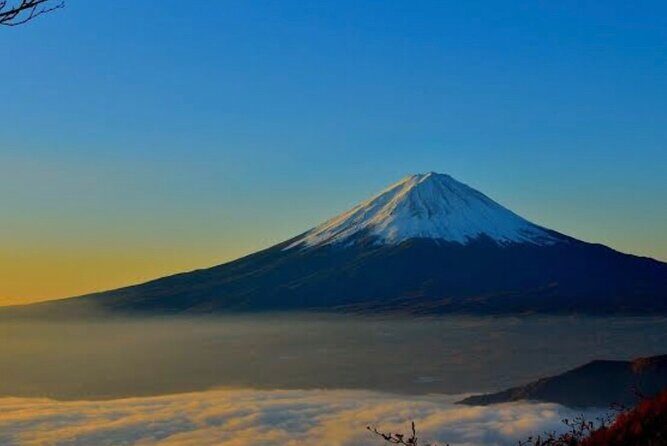 Private Mount Fuji and Hakone City Tour In luxury car from Tokyo - Fuji Safari Park: animal time that’s not just a zoo drive-by